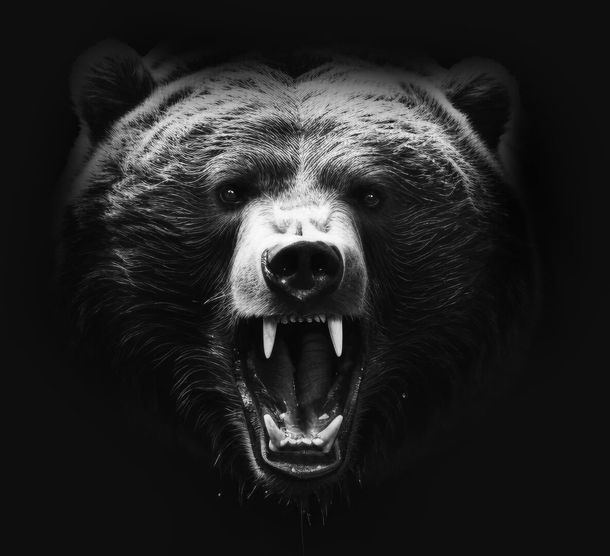Collection Header