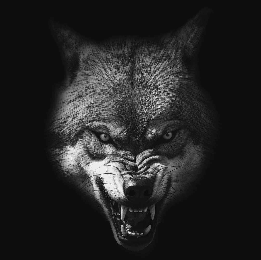 Collection Header