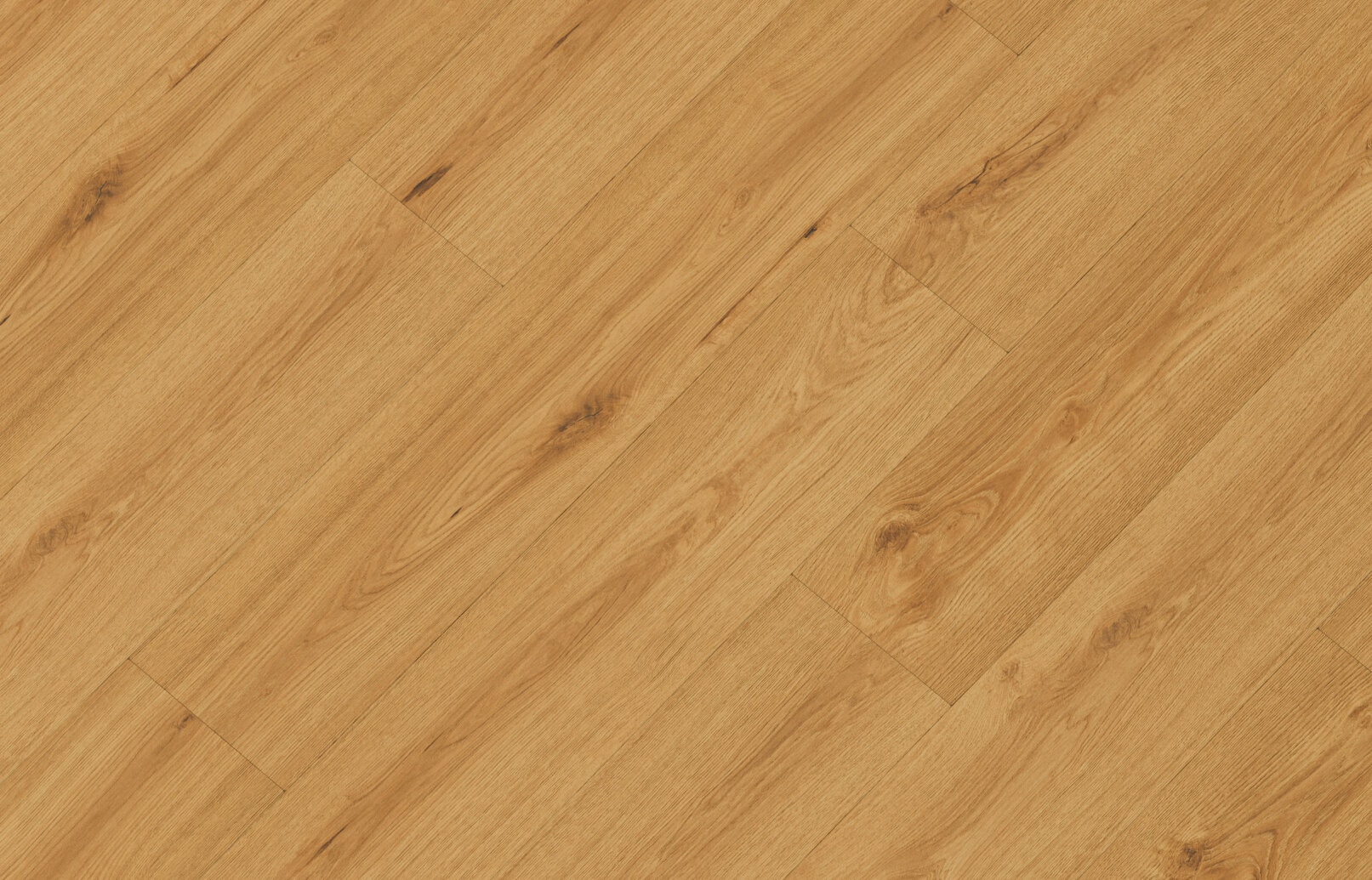 sheet