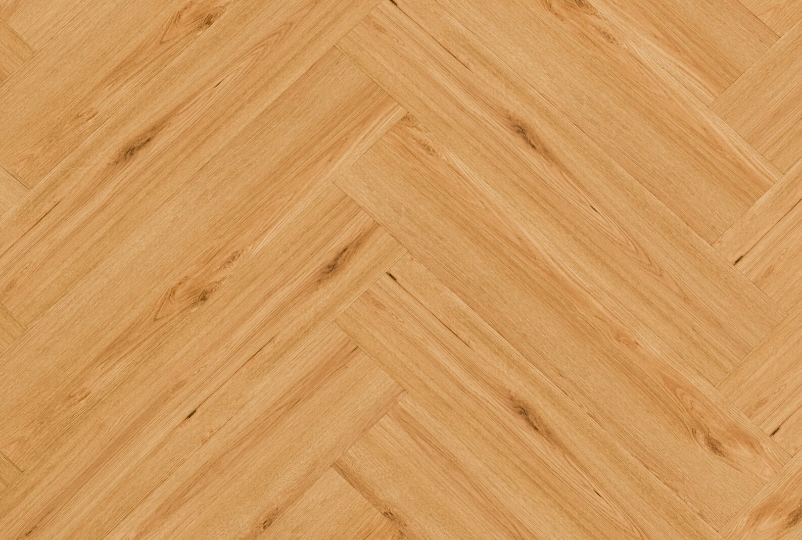 sheet