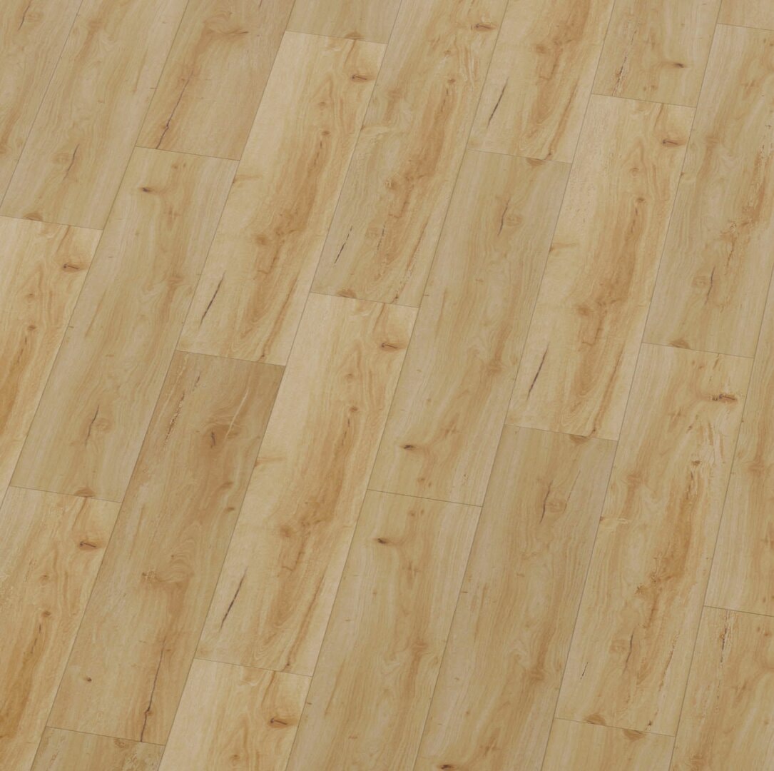 sheet