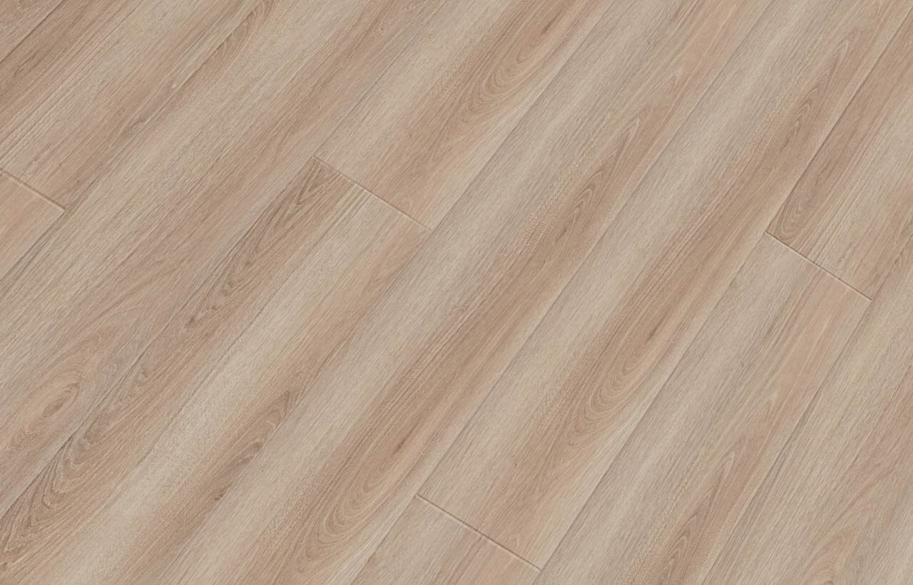 sheet