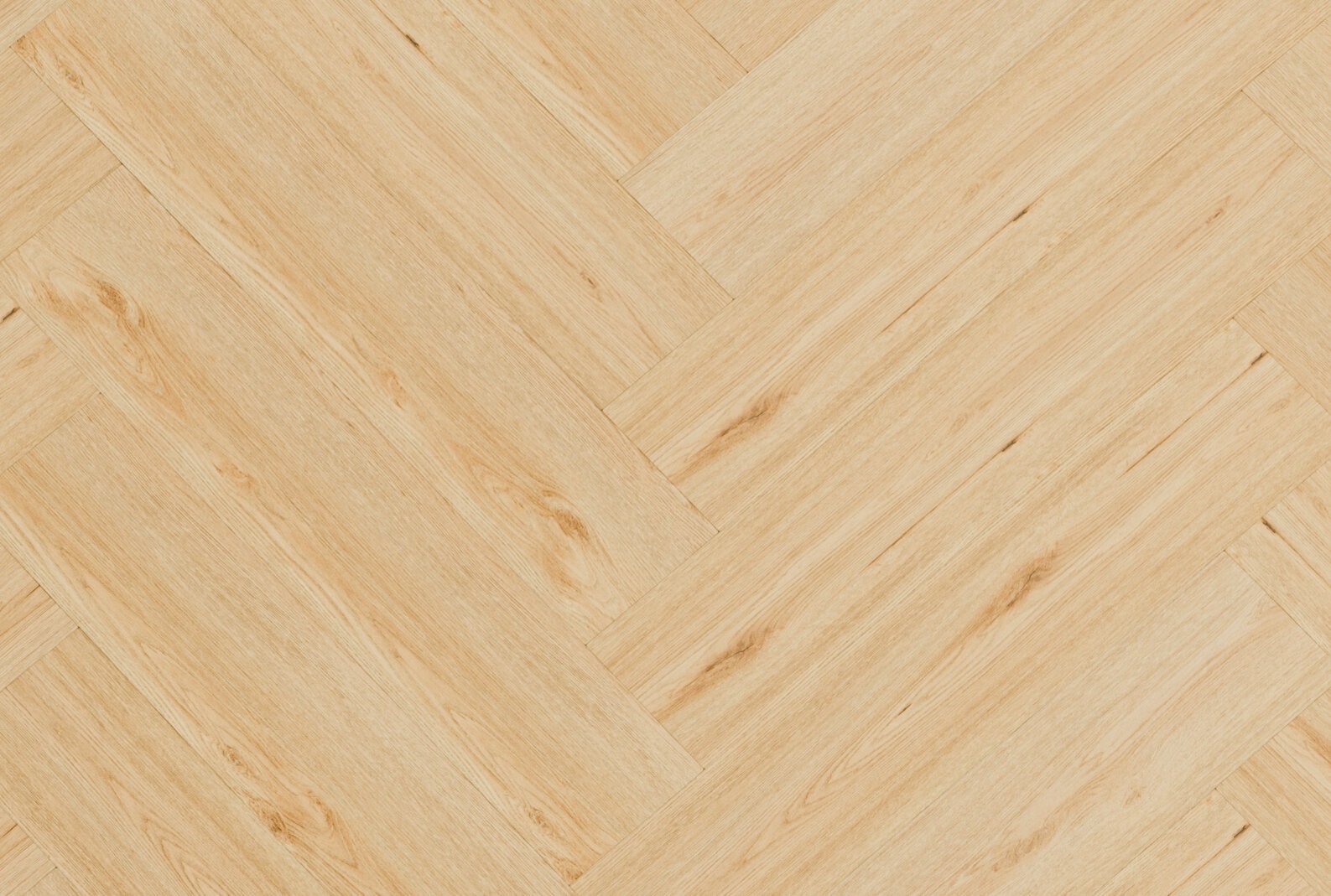 sheet