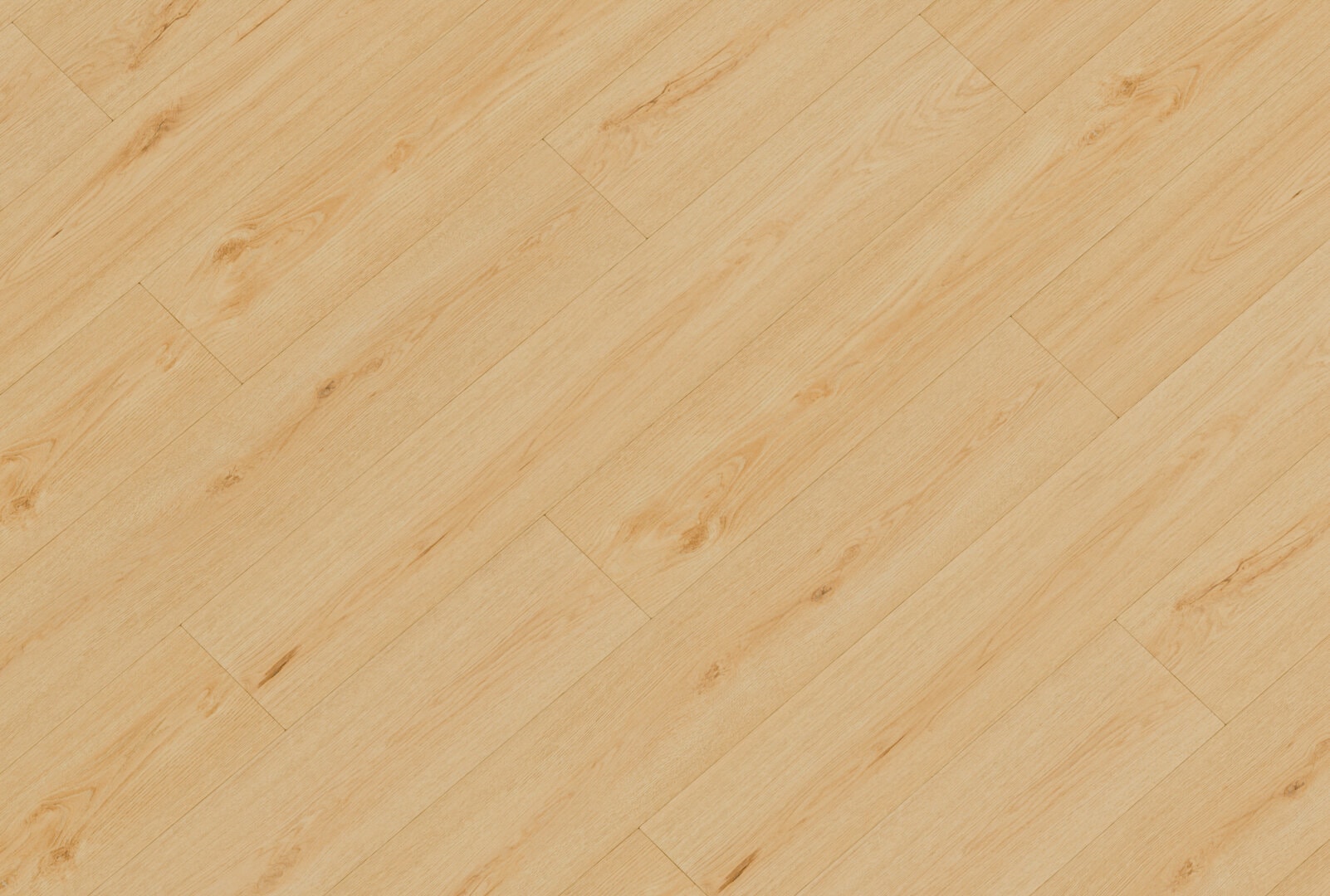 sheet