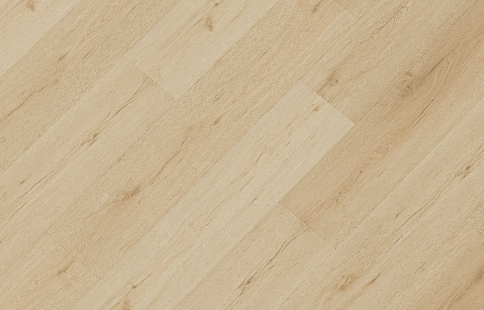 sheet
