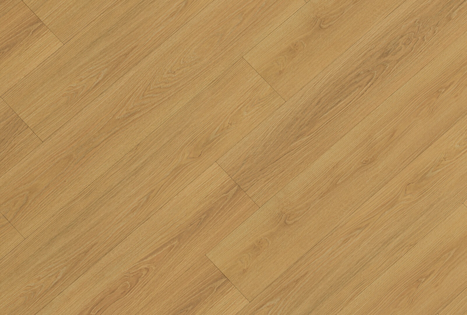 sheet