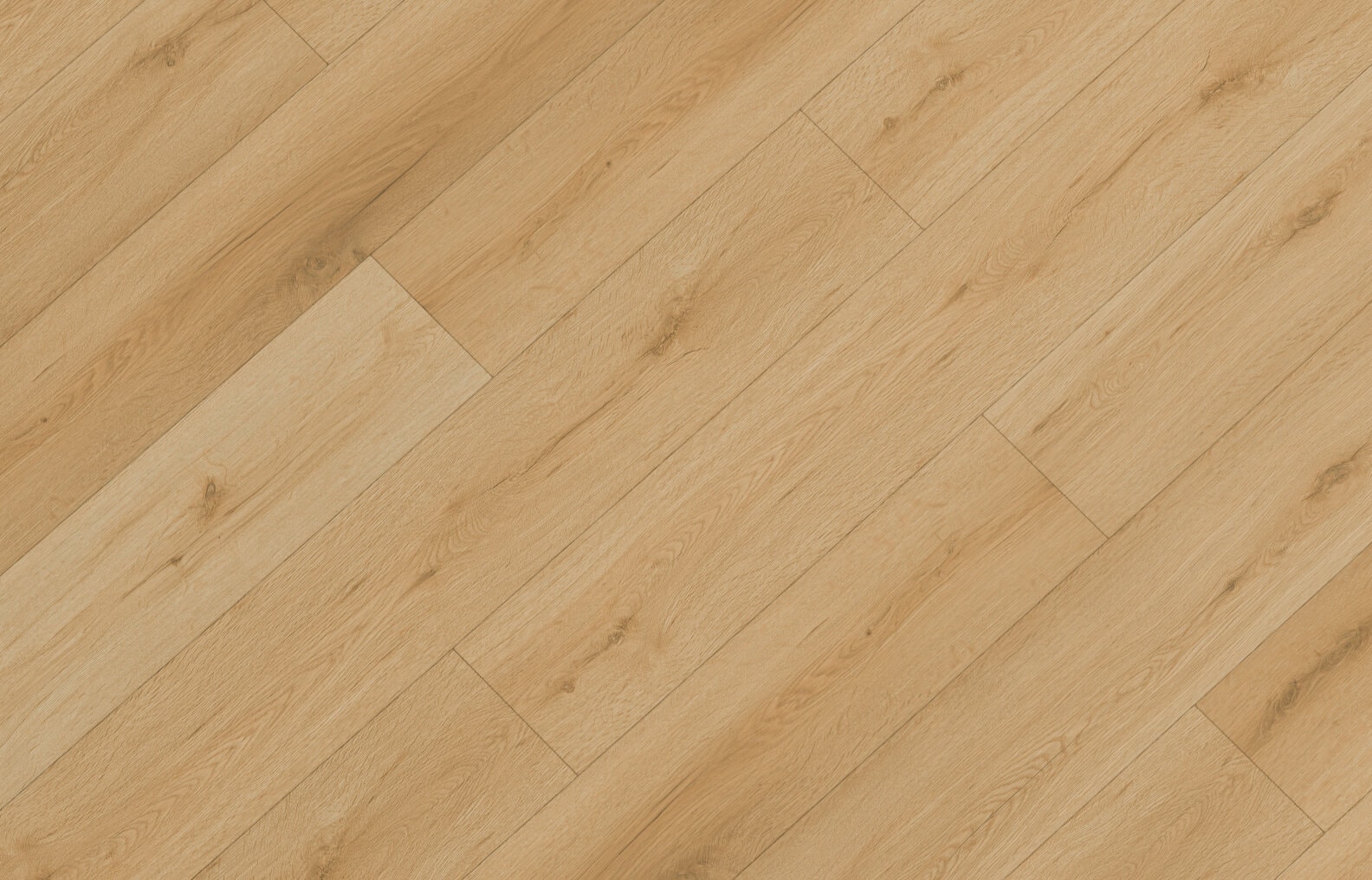 sheet