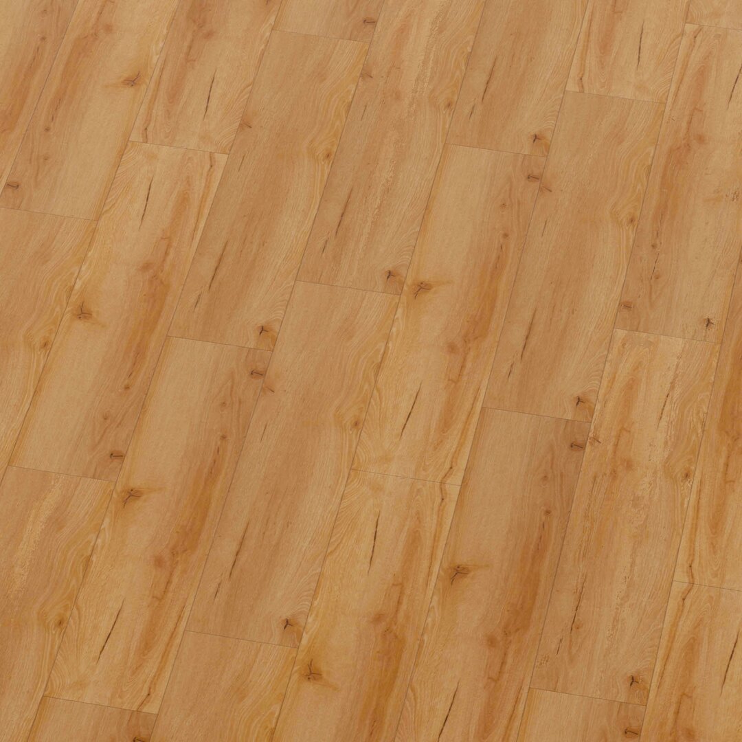 sheet